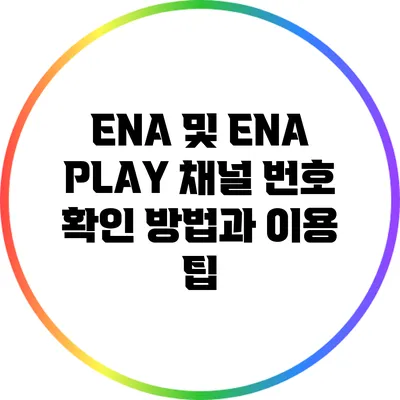 ENA 및 ENA PLAY 채널 번호 확인 방법과 이용 팁