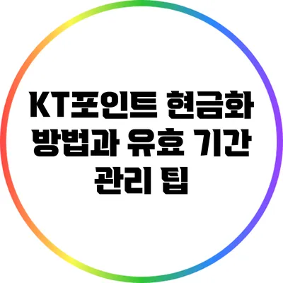 KT포인트 현금화 방법과 유효 기간 관리 팁