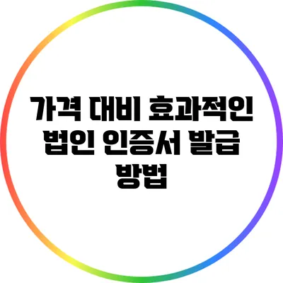 가격 대비 효과적인 법인 인증서 발급 방법
