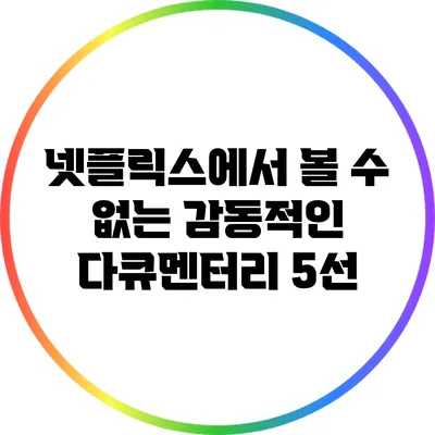 넷플릭스에서 볼 수 없는 감동적인 다큐멘터리 5선