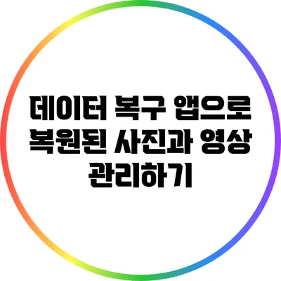 데이터 복구 앱으로 복원된 사진과 영상 관리하기