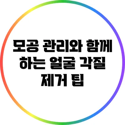 모공 관리와 함께 하는 얼굴 각질 제거 팁