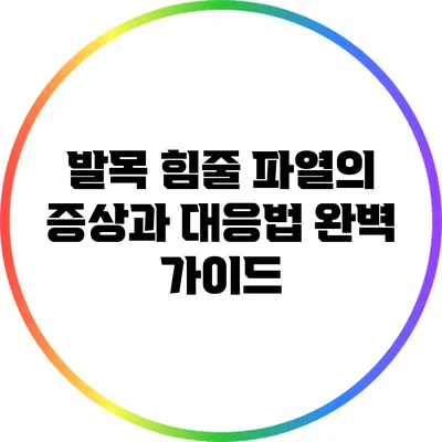 발목 힘줄 파열의 증상과 대응법 완벽 가이드