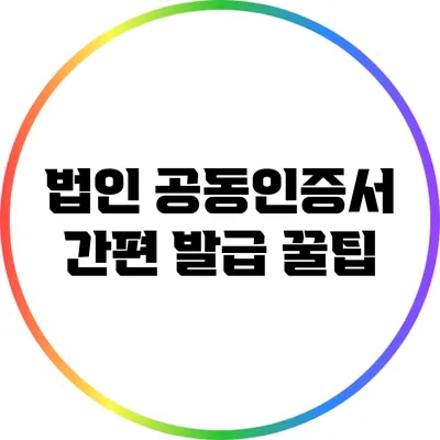 법인 공동인증서 간편 발급 꿀팁