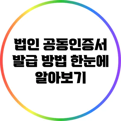 법인 공동인증서 발급 방법 한눈에 알아보기
