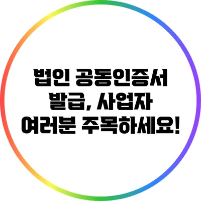 법인 공동인증서 발급, 사업자 여러분 주목하세요!