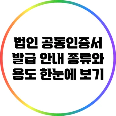 법인 공동인증서 발급 안내: 종류와 용도 한눈에 보기