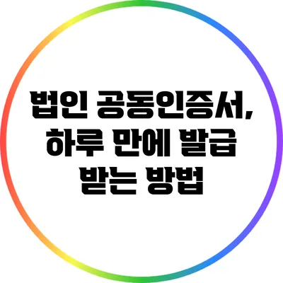 법인 공동인증서, 하루 만에 발급 받는 방법
