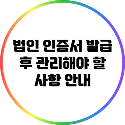 법인 인증서 발급 후 관리해야 할 사항 안내