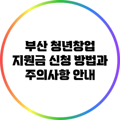 부산 청년창업 지원금 신청 방법과 주의사항 안내