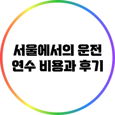 서울에서의 운전 연수: 비용과 후기