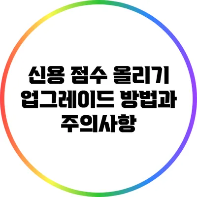 신용 점수 올리기: 업그레이드 방법과 주의사항