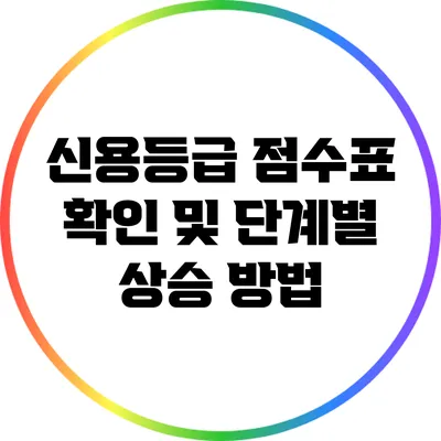 신용등급 점수표 확인 및 단계별 상승 방법
