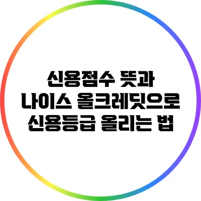 신용점수 뜻과 나이스 올크레딧으로 신용등급 올리는 법