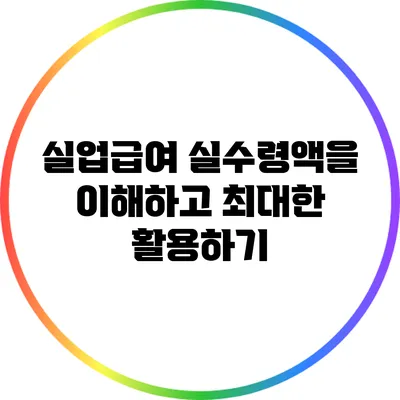 실업급여 실수령액을 이해하고 최대한 활용하기