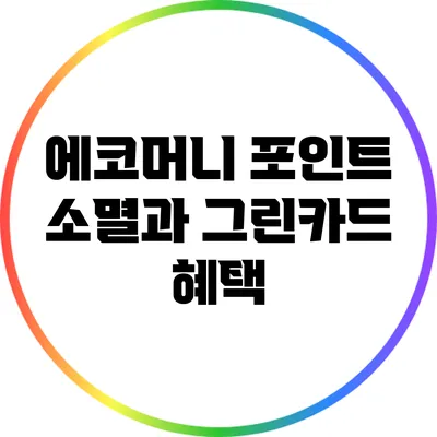 에코머니 포인트 소멸과 그린카드 혜택