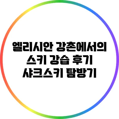 엘리시안 강촌에서의 스키 강습 후기: 샤크스키 탐방기
