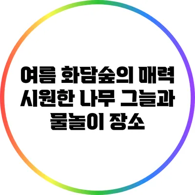 여름 화담숲의 매력: 시원한 나무 그늘과 물놀이 장소