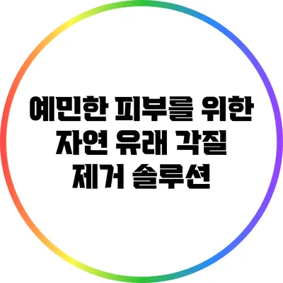 예민한 피부를 위한 자연 유래 각질 제거 솔루션