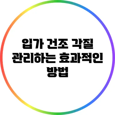 입가 건조 각질 관리하는 효과적인 방법