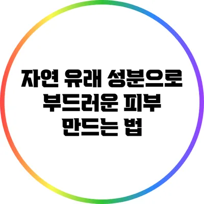 자연 유래 성분으로 부드러운 피부 만드는 법