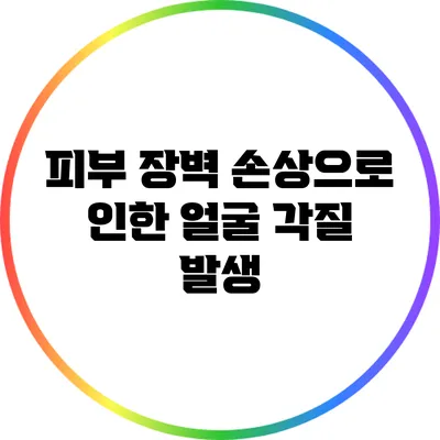 피부 장벽 손상으로 인한 얼굴 각질 발생