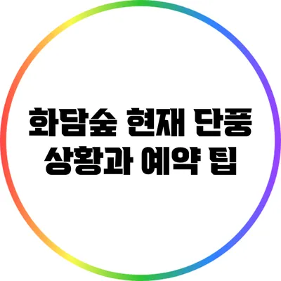 화담숲 현재 단풍 상황과 예약 팁
