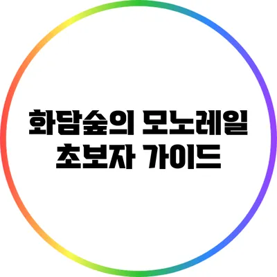 화담숲의 모노레일: 초보자 가이드