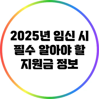 2025년 임신 시 필수 알아야 할 지원금 정보