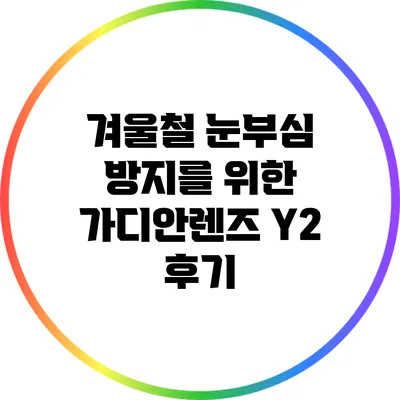 겨울철 눈부심 방지를 위한 가디안렌즈 Y2 후기