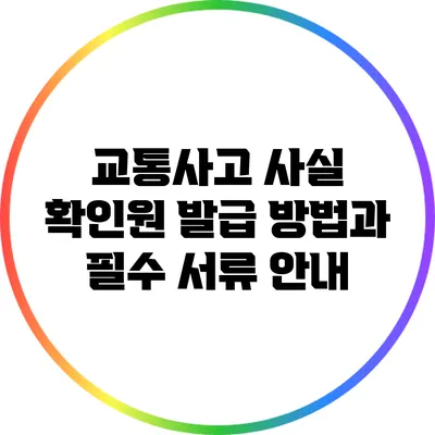 교통사고 사실 확인원 발급 방법과 필수 서류 안내