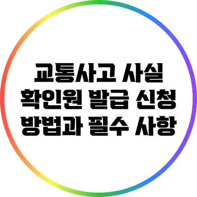 교통사고 사실 확인원 발급 신청 방법과 필수 사항