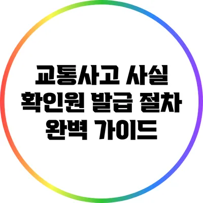 교통사고 사실 확인원 발급 절차 완벽 가이드