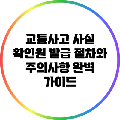 교통사고 사실 확인원 발급 절차와 주의사항 완벽 가이드