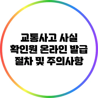 교통사고 사실 확인원 온라인 발급 절차 및 주의사항