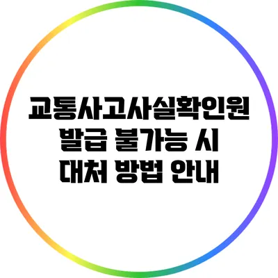 교통사고사실확인원 발급 불가능 시 대처 방법 안내