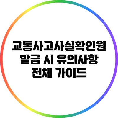 교통사고사실확인원 발급 시 유의사항 전체 가이드