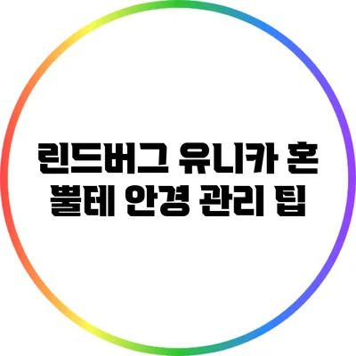 린드버그 유니카 혼: 뿔테 안경 관리 팁