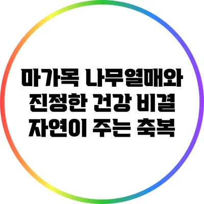 마가목 나무열매와 진정한 건강 비결: 자연이 주는 축복