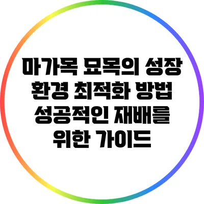 마가목 묘목의 성장 환경 최적화 방법: 성공적인 재배를 위한 가이드