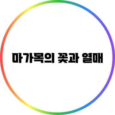 마가목의 꽃과 열매
