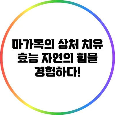 마가목의 상처 치유 효능: 자연의 힘을 경험하다!