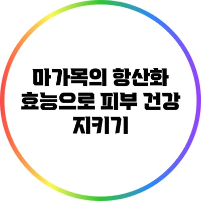 마가목의 항산화 효능으로 피부 건강 지키기