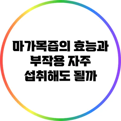 마가목즙의 효능과 부작용: 자주 섭취해도 될까?