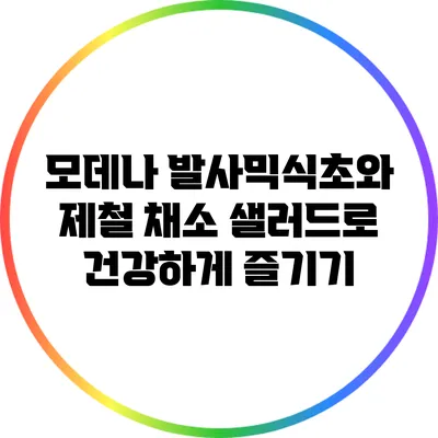 모데나 발사믹식초와 제철 채소 샐러드로 건강하게 즐기기