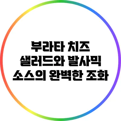 부라타 치즈 샐러드와 발사믹 소스의 완벽한 조화