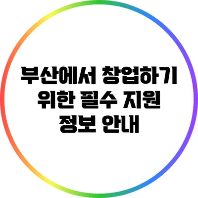 부산에서 창업하기 위한 필수 지원 정보 안내