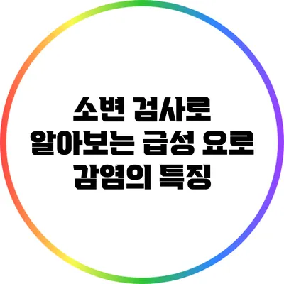 소변 검사로 알아보는 급성 요로 감염의 특징