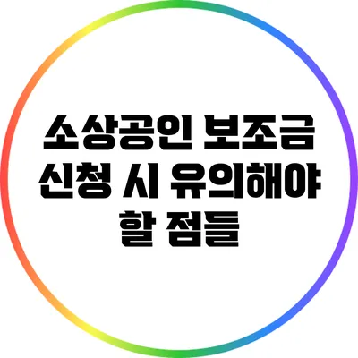 소상공인 보조금 신청 시 유의해야 할 점들