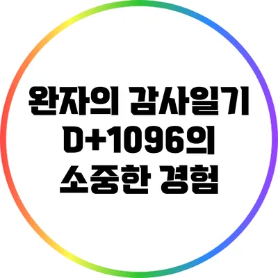 완자의 감사일기: D+1096의 소중한 경험
